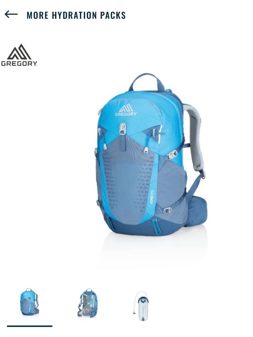 Gregory Blue and Gray Hydration Daypack Backpack